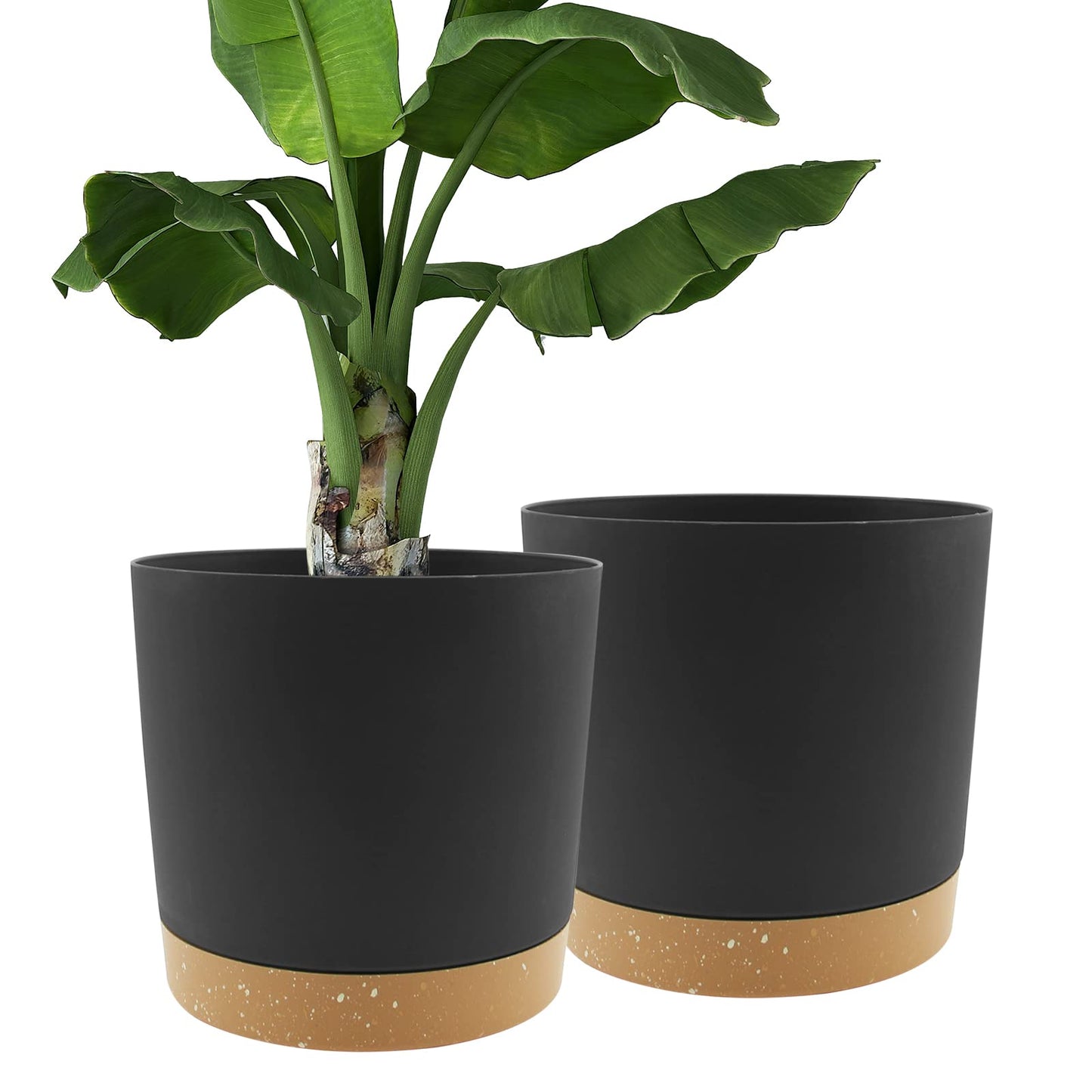 QCQHDU Blumentopf Set 2er,Durchmesser 12,7 cm,Blumentöpfe klein Innen mit abnehmbarem Untersetzer und Abzugsloch,Übertopf für Zimmerpflanzen,Sukkulenten Topf,Kakteen Topf,Orchideen Blumentopf