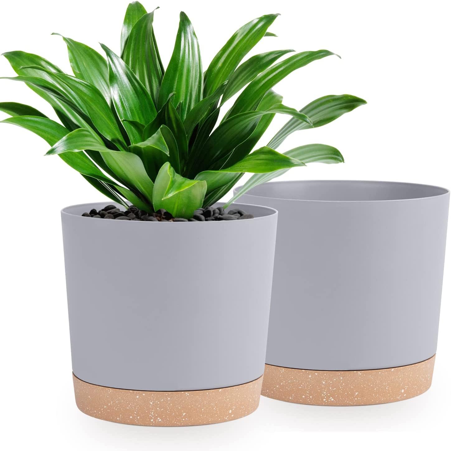 QCQHDU Blumentopf Set 2er,Durchmesser 12,7 cm,Blumentöpfe klein Innen mit abnehmbarem Untersetzer und Abzugsloch,Übertopf für Zimmerpflanzen,Sukkulenten Topf,Kakteen Topf,Orchideen Blumentopf