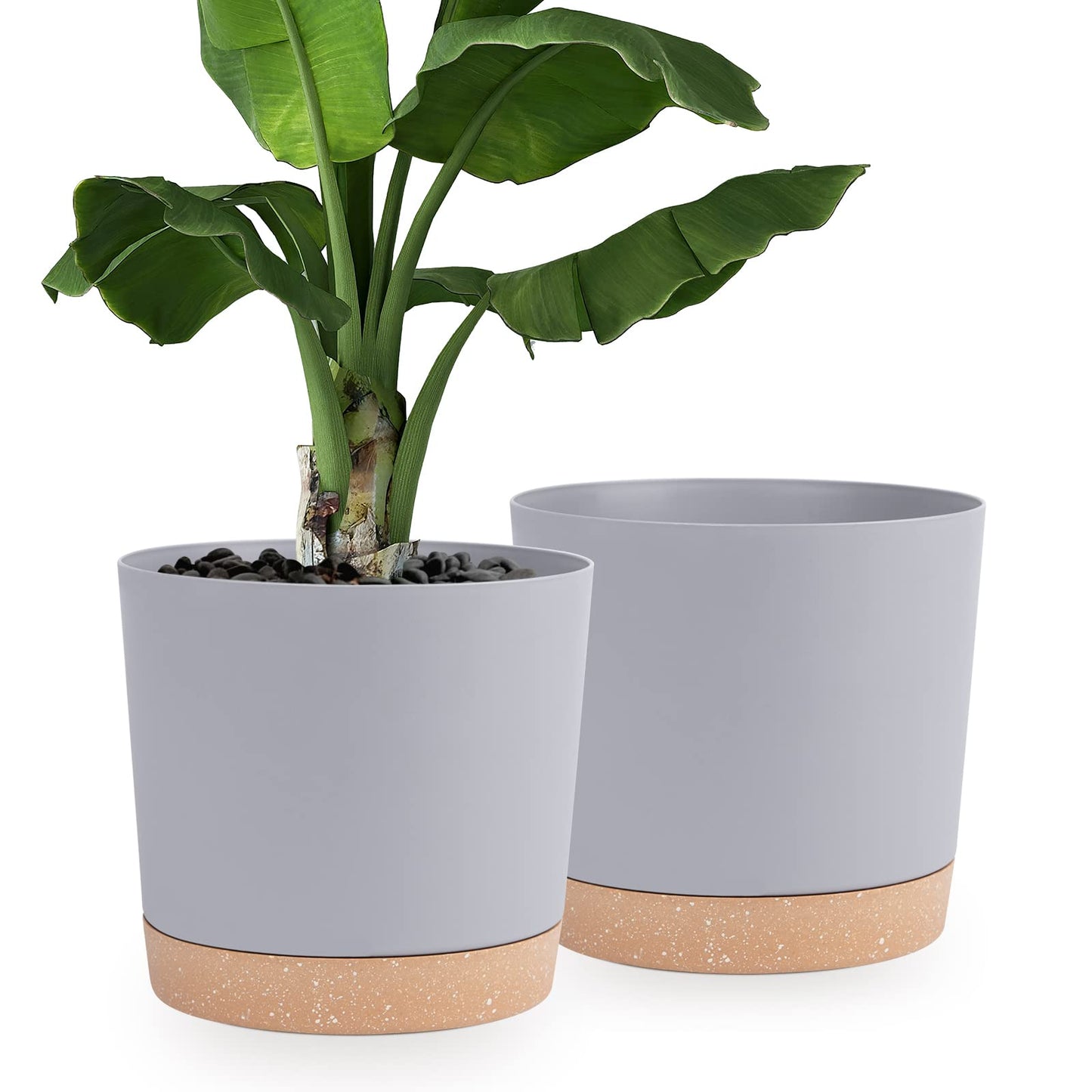 QCQHDU Blumentopf Set 2er,Durchmesser 12,7 cm,Blumentöpfe klein Innen mit abnehmbarem Untersetzer und Abzugsloch,Übertopf für Zimmerpflanzen,Sukkulenten Topf,Kakteen Topf,Orchideen Blumentopf