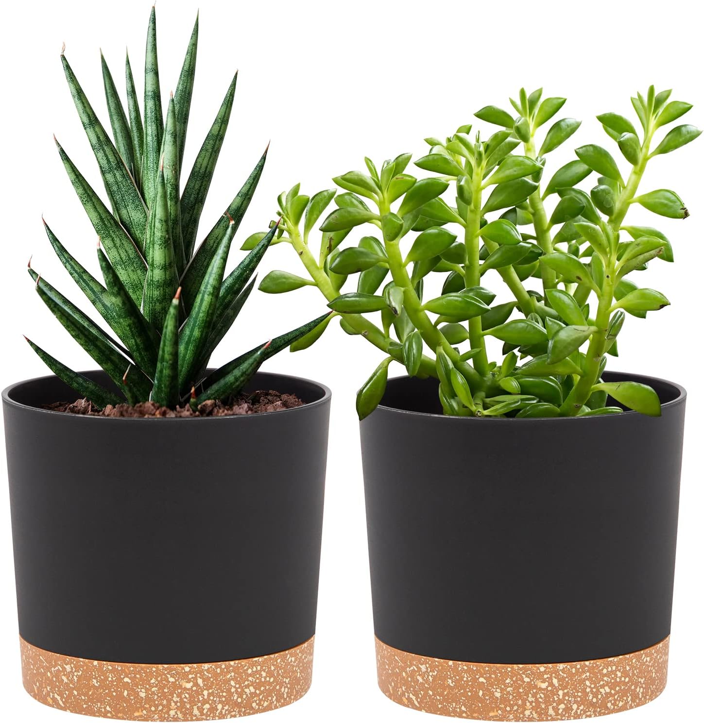 QCQHDU Blumentopf Set 2er,Durchmesser 12,7 cm,Blumentöpfe klein Innen mit abnehmbarem Untersetzer und Abzugsloch,Übertopf für Zimmerpflanzen,Sukkulenten Topf,Kakteen Topf,Orchideen Blumentopf