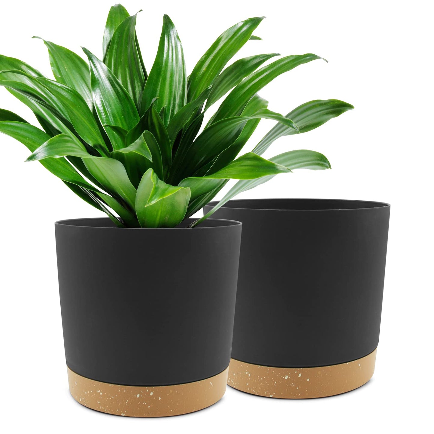 QCQHDU Blumentopf Set 2er,Durchmesser 12,7 cm,Blumentöpfe klein Innen mit abnehmbarem Untersetzer und Abzugsloch,Übertopf für Zimmerpflanzen,Sukkulenten Topf,Kakteen Topf,Orchideen Blumentopf