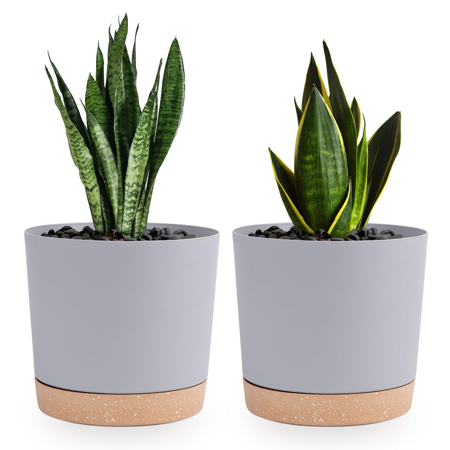 QCQHDU Blumentopf Set 2er,Durchmesser 12,7 cm,Blumentöpfe klein Innen mit abnehmbarem Untersetzer und Abzugsloch,Übertopf für Zimmerpflanzen,Sukkulenten Topf,Kakteen Topf,Orchideen Blumentopf