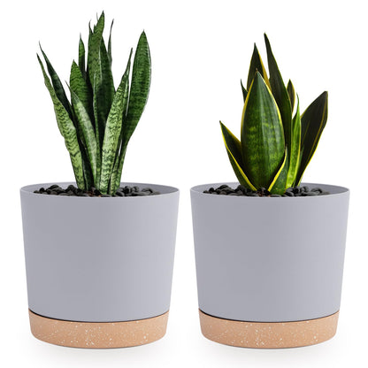 QCQHDU Blumentopf Set 2er,Durchmesser 12,7 cm,Blumentöpfe klein Innen mit abnehmbarem Untersetzer und Abzugsloch,Übertopf für Zimmerpflanzen,Sukkulenten Topf,Kakteen Topf,Orchideen Blumentopf
