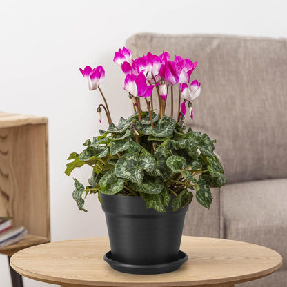 KUOGAS 6 Stück Kunststoff Blumentopf,Blumentopf mit Untersetzer, 20cm Pflanzentopf Mit Mehreren DrainagelöChern, Runde TöPfe FüR Drinnen Und Auf Dem Balkon, Saftige Kakteen (20cm)
