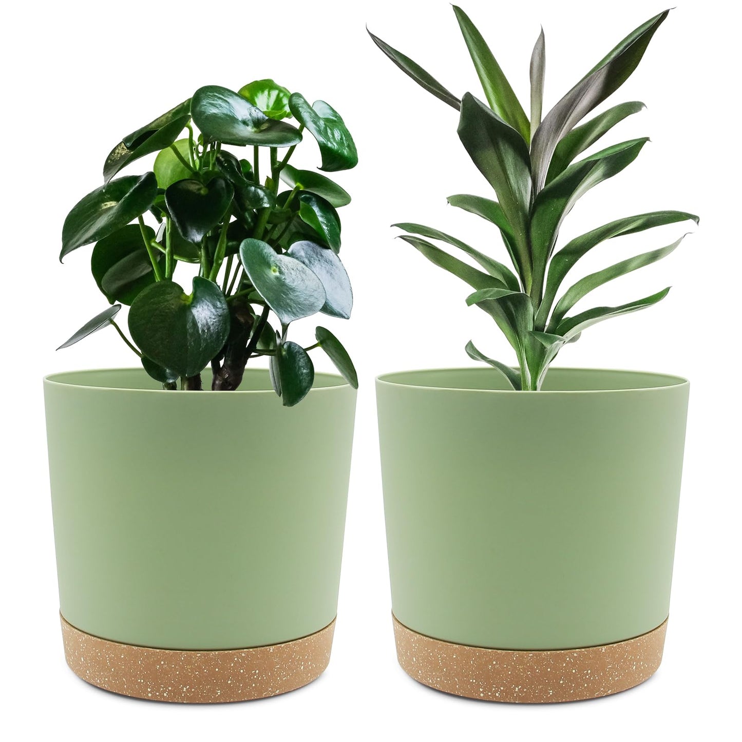 QCQHDU Blumentopf Set 2er,Durchmesser 12,7 cm,Blumentöpfe klein Innen mit abnehmbarem Untersetzer und Abzugsloch,Übertopf für Zimmerpflanzen,Sukkulenten Topf,Kakteen Topf,Orchideen Blumentopf