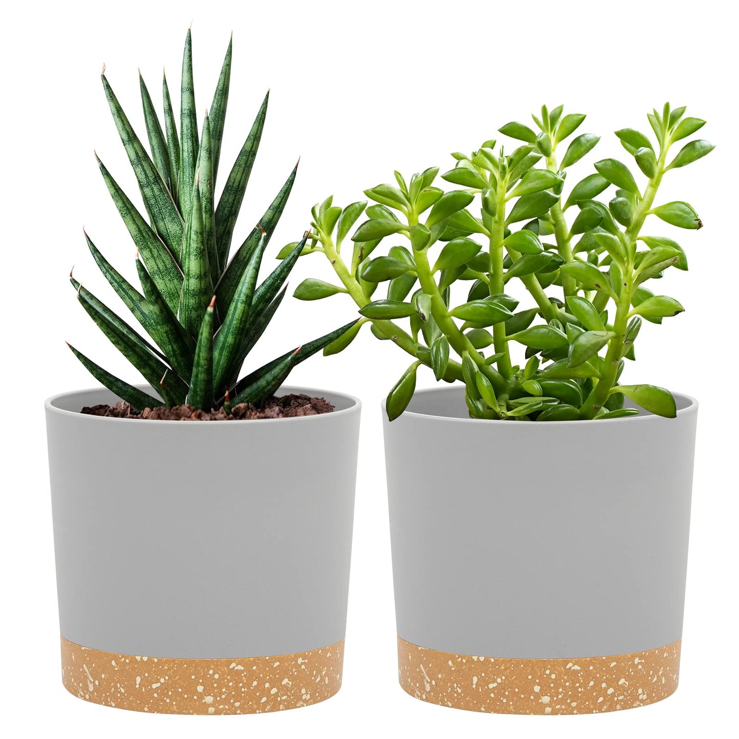 QCQHDU Blumentopf Set 2er,Durchmesser 12,7 cm,Blumentöpfe klein Innen mit abnehmbarem Untersetzer und Abzugsloch,Übertopf für Zimmerpflanzen,Sukkulenten Topf,Kakteen Topf,Orchideen Blumentopf