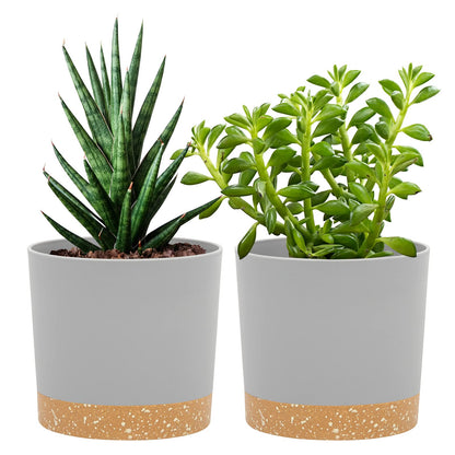 QCQHDU Blumentopf Set 2er,Durchmesser 12,7 cm,Blumentöpfe klein Innen mit abnehmbarem Untersetzer und Abzugsloch,Übertopf für Zimmerpflanzen,Sukkulenten Topf,Kakteen Topf,Orchideen Blumentopf