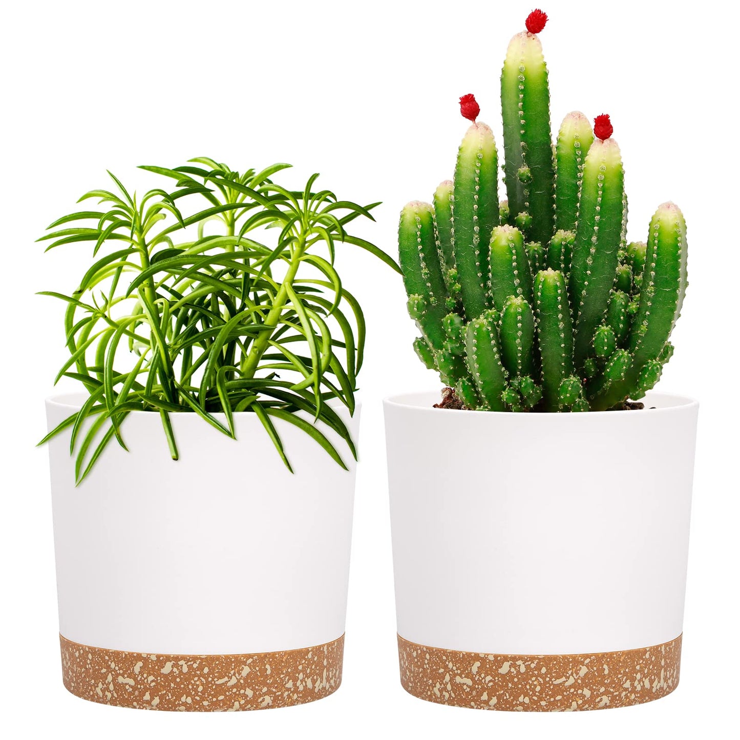 QCQHDU Blumentopf Set 2er,Durchmesser 12,7 cm,Blumentöpfe klein Innen mit abnehmbarem Untersetzer und Abzugsloch,Übertopf für Zimmerpflanzen,Sukkulenten Topf,Kakteen Topf,Orchideen Blumentopf