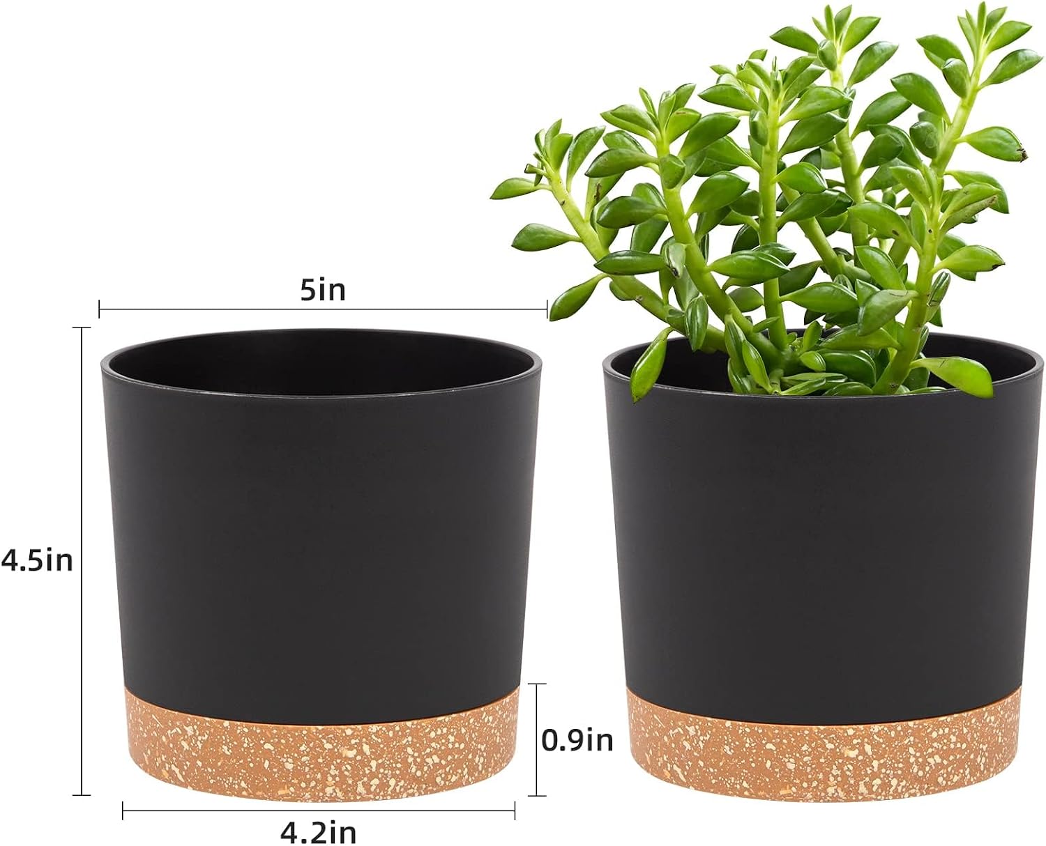 QCQHDU Blumentopf Set 2er,Durchmesser 12,7 cm,Blumentöpfe klein Innen mit abnehmbarem Untersetzer und Abzugsloch,Übertopf für Zimmerpflanzen,Sukkulenten Topf,Kakteen Topf,Orchideen Blumentopf