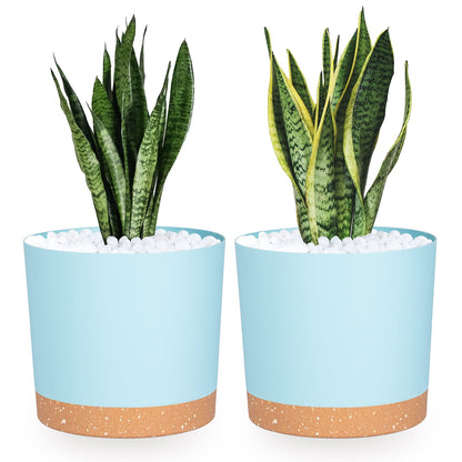QCQHDU Blumentopf Set 2er,Durchmesser 12,7 cm,Blumentöpfe klein Innen mit abnehmbarem Untersetzer und Abzugsloch,Übertopf für Zimmerpflanzen,Sukkulenten Topf,Kakteen Topf,Orchideen Blumentopf