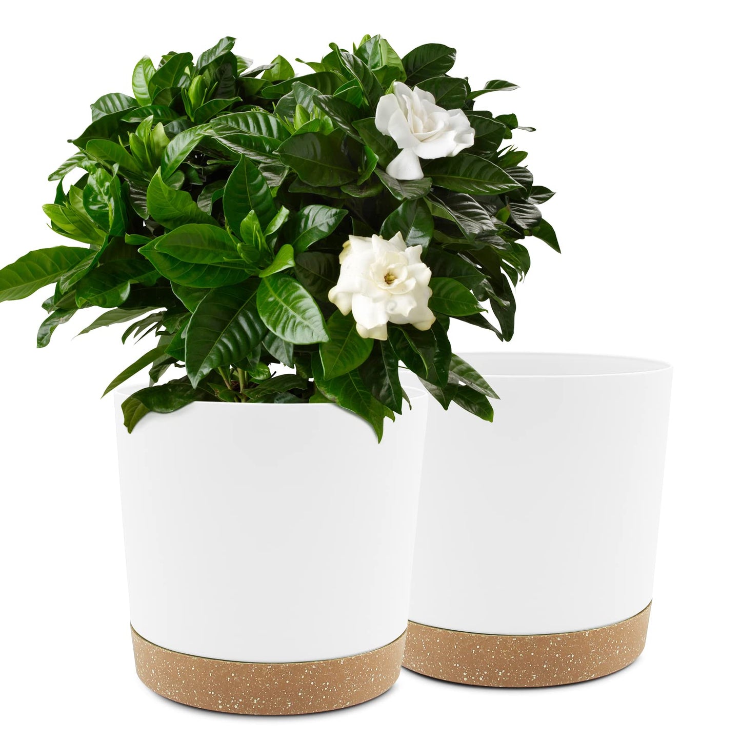 QCQHDU Blumentopf Set 2er,Durchmesser 12,7 cm,Blumentöpfe klein Innen mit abnehmbarem Untersetzer und Abzugsloch,Übertopf für Zimmerpflanzen,Sukkulenten Topf,Kakteen Topf,Orchideen Blumentopf