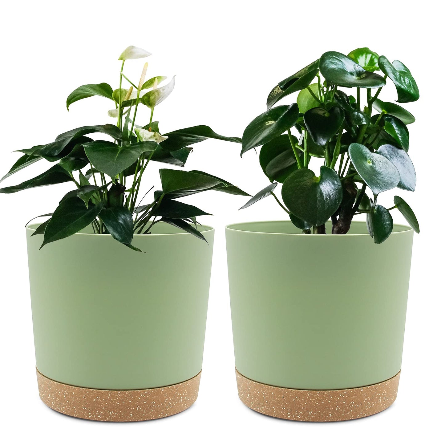 QCQHDU Blumentopf Set 2er,Durchmesser 12,7 cm,Blumentöpfe klein Innen mit abnehmbarem Untersetzer und Abzugsloch,Übertopf für Zimmerpflanzen,Sukkulenten Topf,Kakteen Topf,Orchideen Blumentopf