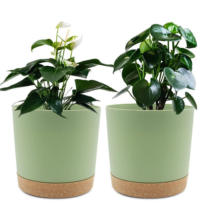 QCQHDU Blumentopf Set 2er,Durchmesser 12,7 cm,Blumentöpfe klein Innen mit abnehmbarem Untersetzer und Abzugsloch,Übertopf für Zimmerpflanzen,Sukkulenten Topf,Kakteen Topf,Orchideen Blumentopf