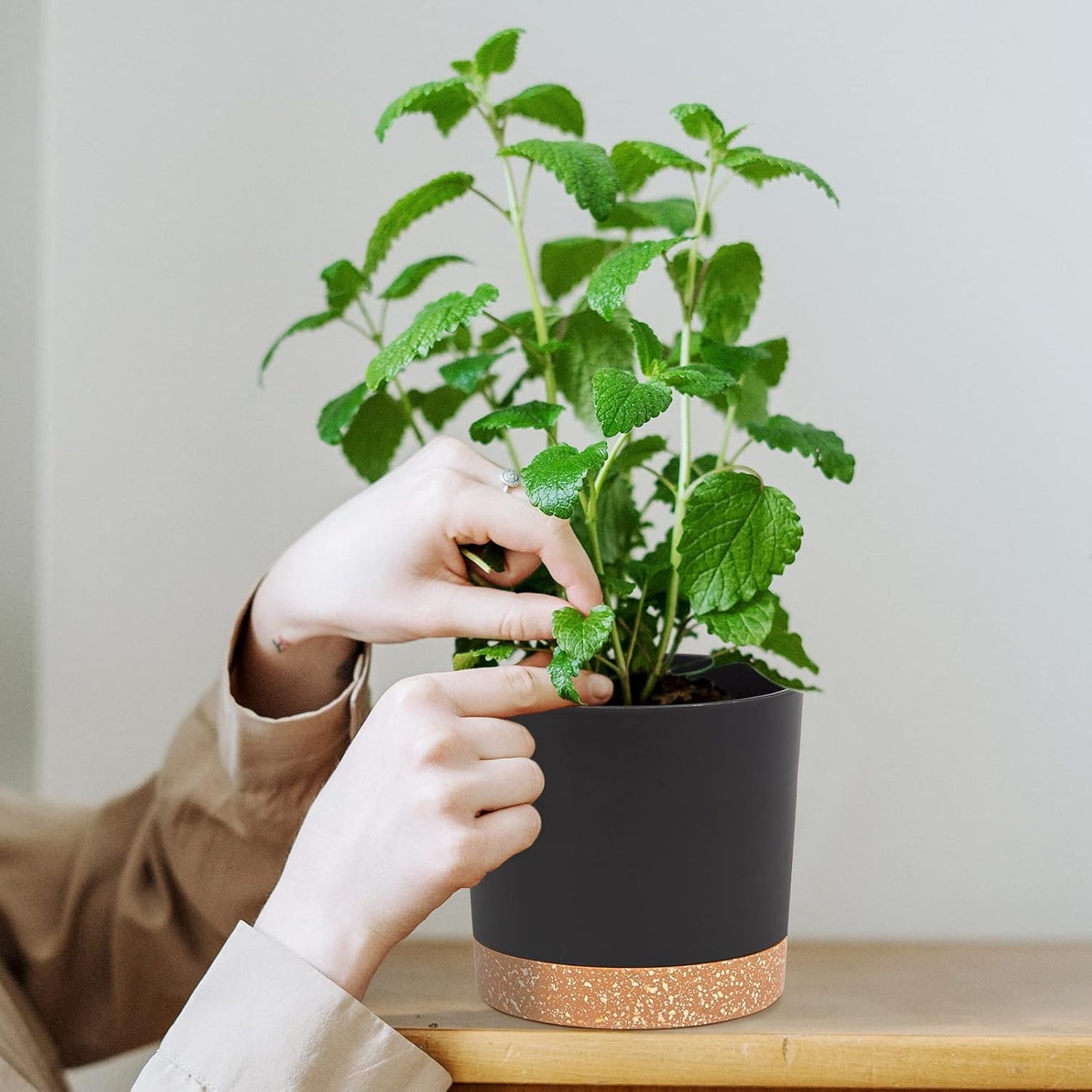 QCQHDU Blumentopf Set 2er,Durchmesser 12,7 cm,Blumentöpfe klein Innen mit abnehmbarem Untersetzer und Abzugsloch,Übertopf für Zimmerpflanzen,Sukkulenten Topf,Kakteen Topf,Orchideen Blumentopf