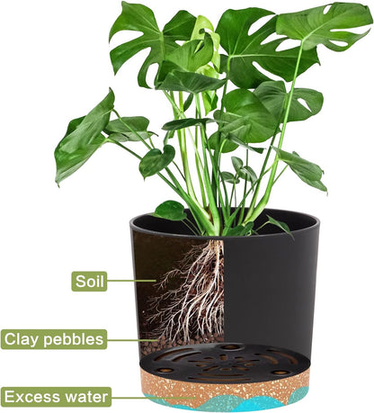 QCQHDU Blumentopf Set 2er,Durchmesser 12,7 cm,Blumentöpfe klein Innen mit abnehmbarem Untersetzer und Abzugsloch,Übertopf für Zimmerpflanzen,Sukkulenten Topf,Kakteen Topf,Orchideen Blumentopf