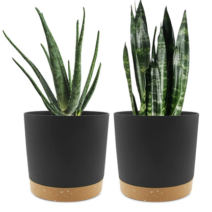 QCQHDU Blumentopf Set 2er,Durchmesser 12,7 cm,Blumentöpfe klein Innen mit abnehmbarem Untersetzer und Abzugsloch,Übertopf für Zimmerpflanzen,Sukkulenten Topf,Kakteen Topf,Orchideen Blumentopf