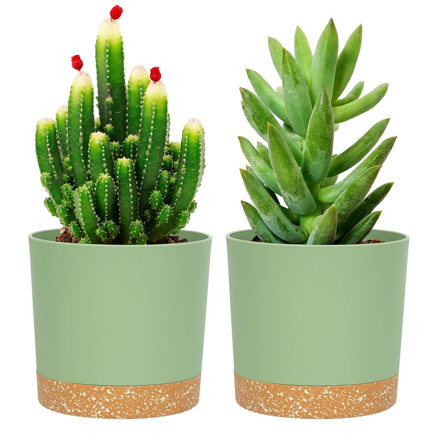 QCQHDU Blumentopf Set 2er,Durchmesser 12,7 cm,Blumentöpfe klein Innen mit abnehmbarem Untersetzer und Abzugsloch,Übertopf für Zimmerpflanzen,Sukkulenten Topf,Kakteen Topf,Orchideen Blumentopf