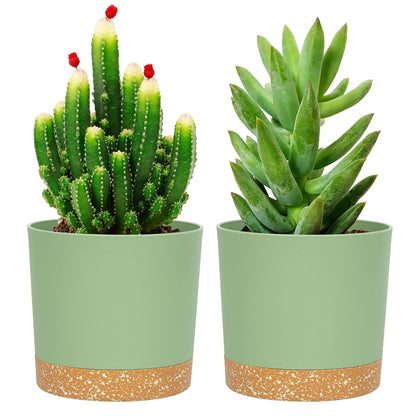 QCQHDU Blumentopf Set 2er,Durchmesser 12,7 cm,Blumentöpfe klein Innen mit abnehmbarem Untersetzer und Abzugsloch,Übertopf für Zimmerpflanzen,Sukkulenten Topf,Kakteen Topf,Orchideen Blumentopf