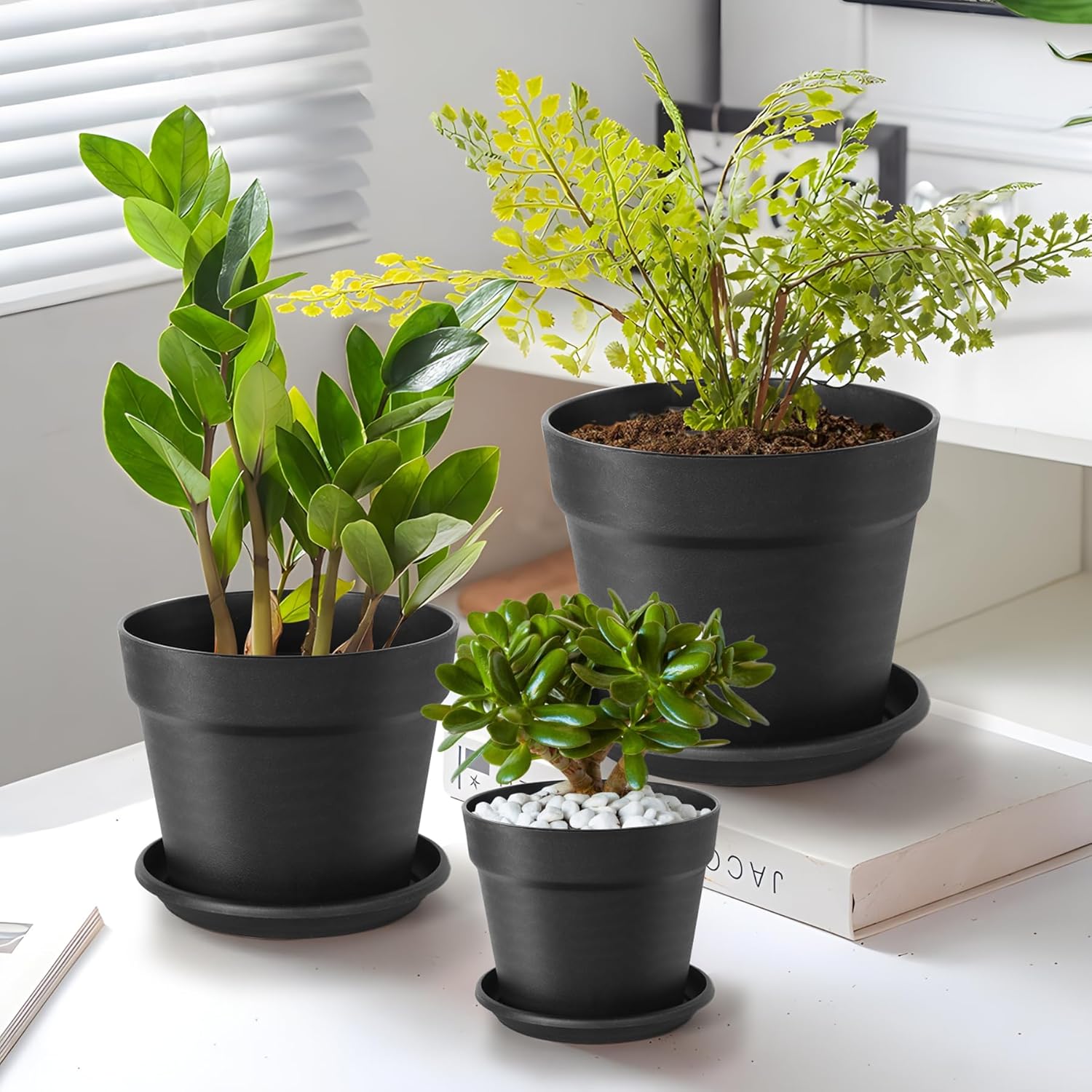 KUOGAS 6 Stück Kunststoff Blumentopf,Blumentopf mit Untersetzer, 20cm Pflanzentopf Mit Mehreren DrainagelöChern, Runde TöPfe FüR Drinnen Und Auf Dem Balkon, Saftige Kakteen (20cm)