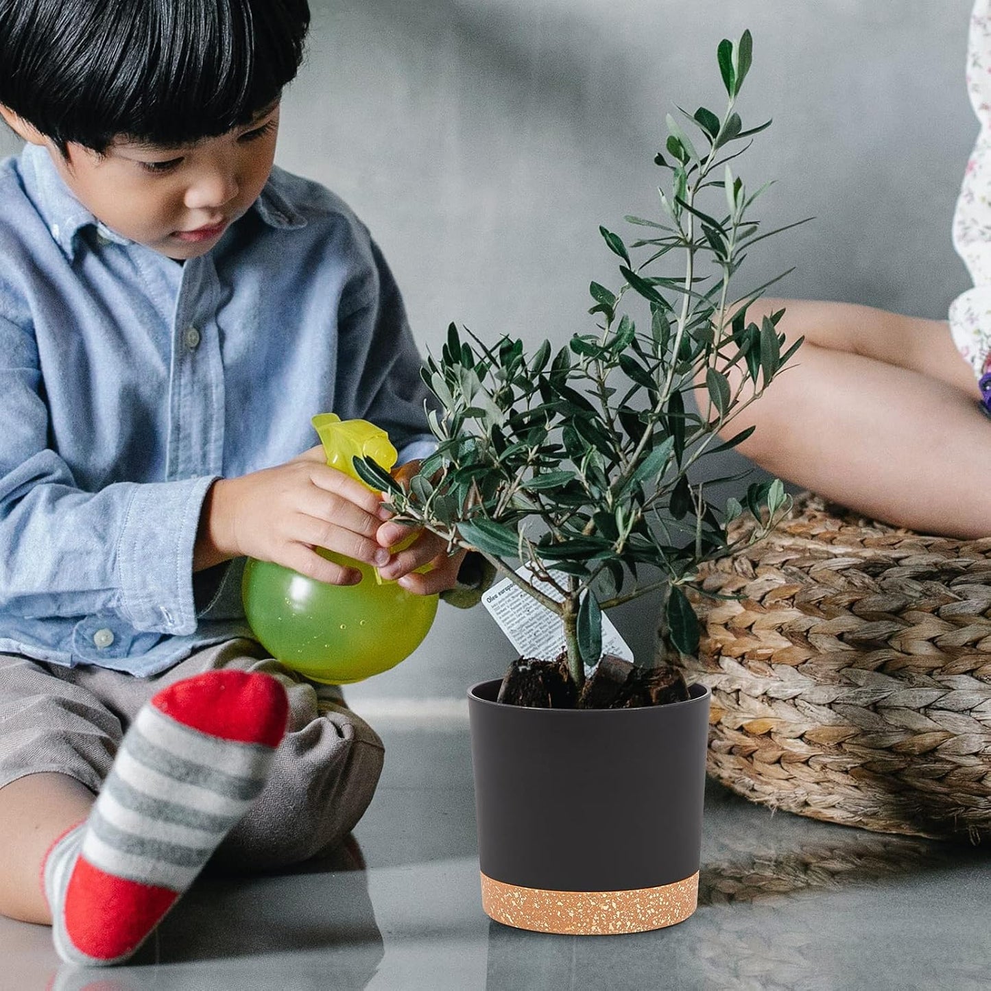 QCQHDU Blumentopf Set 2er,Durchmesser 12,7 cm,Blumentöpfe klein Innen mit abnehmbarem Untersetzer und Abzugsloch,Übertopf für Zimmerpflanzen,Sukkulenten Topf,Kakteen Topf,Orchideen Blumentopf