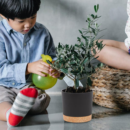 QCQHDU Blumentopf Set 2er,Durchmesser 12,7 cm,Blumentöpfe klein Innen mit abnehmbarem Untersetzer und Abzugsloch,Übertopf für Zimmerpflanzen,Sukkulenten Topf,Kakteen Topf,Orchideen Blumentopf