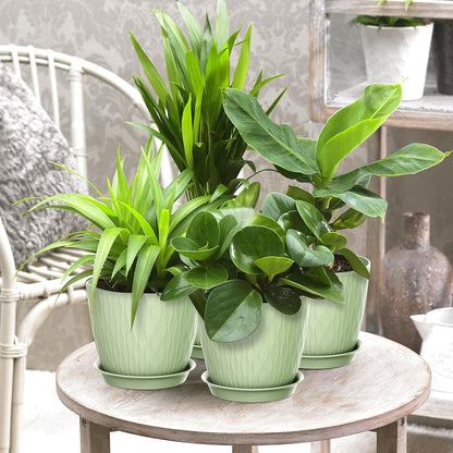 Homeuouz 5 Packs Blumentopf mit Bewässerungssystem, 20.3cm Pflanzentopf mit Bewässerungssystem, Übertopf mit Untersetzer, Blumentöpfe Set Ideal für Innen und Balkongärten, Hellgrün