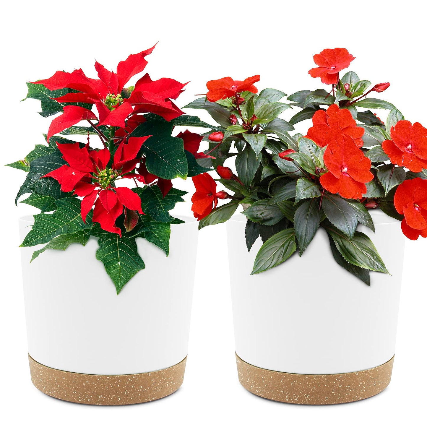 QCQHDU Blumentopf Set 2er,Durchmesser 12,7 cm,Blumentöpfe klein Innen mit abnehmbarem Untersetzer und Abzugsloch,Übertopf für Zimmerpflanzen,Sukkulenten Topf,Kakteen Topf,Orchideen Blumentopf